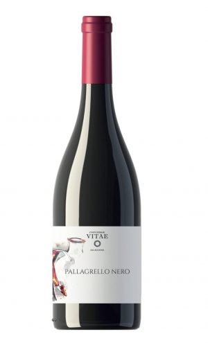 Pallagrello Nero 2018 | Cubulteria | Wine Online Selection